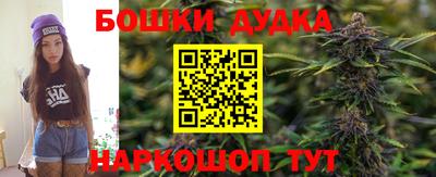 прущие грибы Мариинск
