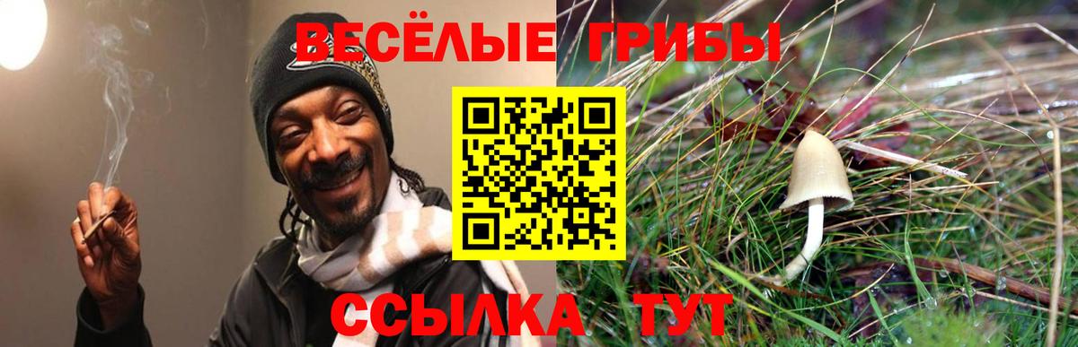 сколько стоит  Вход с VPN  Бугуруслан  Галлюциногенные грибы мухоморы 
